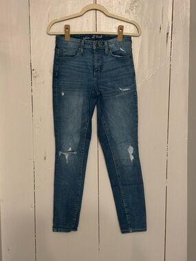 Universal Thread Distressed Dark Blue Skinny Jeans